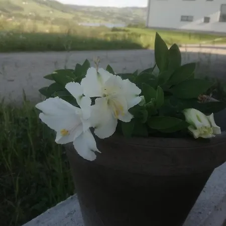 Nyaraló Mitterbauer