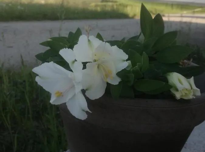 Casa de Férias Mitterbauer